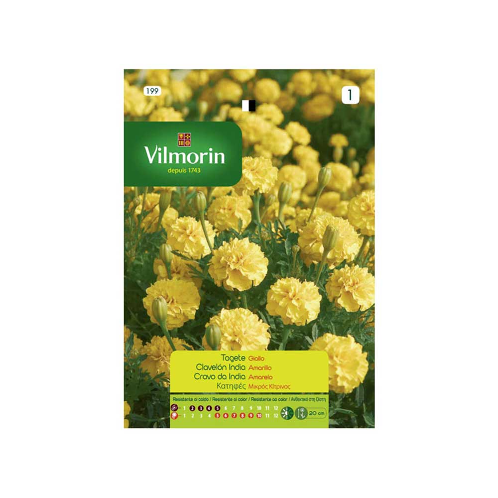 Semillas Clavelón India Amarillo 1,5gr VILMORIN