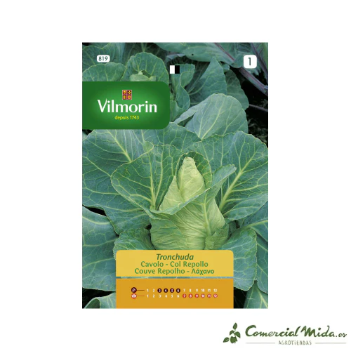 VILMORIN Semillas Col Repollo Tronchuda