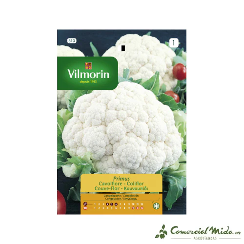 VILMORIN Semillas Coliflor Gigante de Otoño Primus