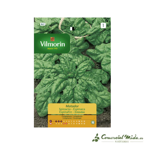 VILMORIN Semillas Espinaca Matador