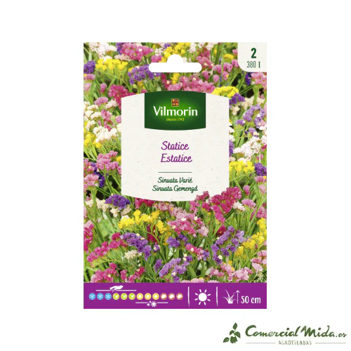 VILMORIN Semillas Estatice Variada