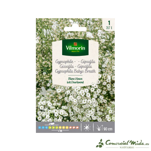 VILMORIN Semillas Gipsofila Blanca Perenne