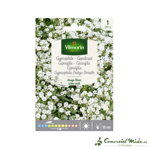 VILMORIN Semillas Gipsofila Nube Blanca