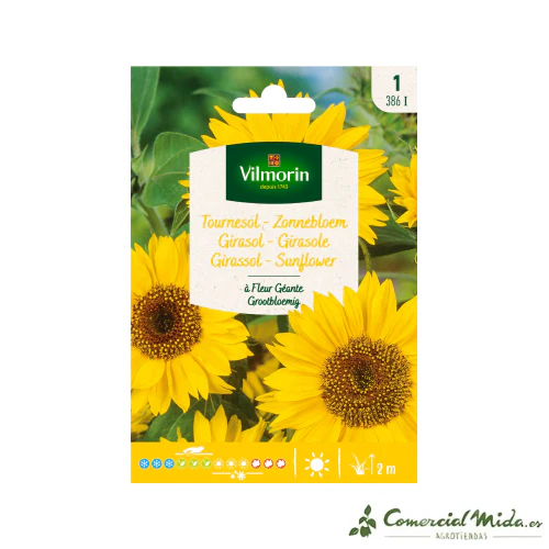 VILMORIN Semillas Girasol de Flores Grandes
