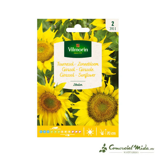 VILMORIN Semillas Girasol Zebulon