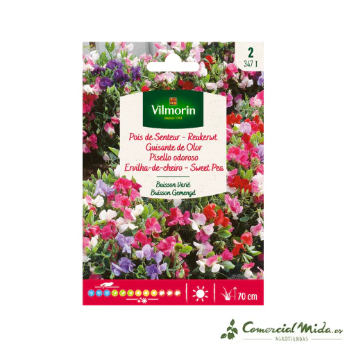 VILMORIN Semillas Guisante de Olor