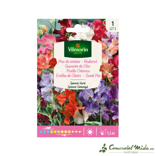 VILMORIN Semillas Guisante de Olor Spencer Variado