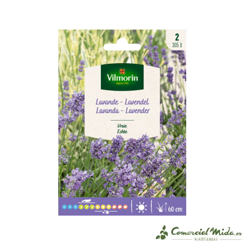 VILMORIN Semillas Lavanda Verdadera