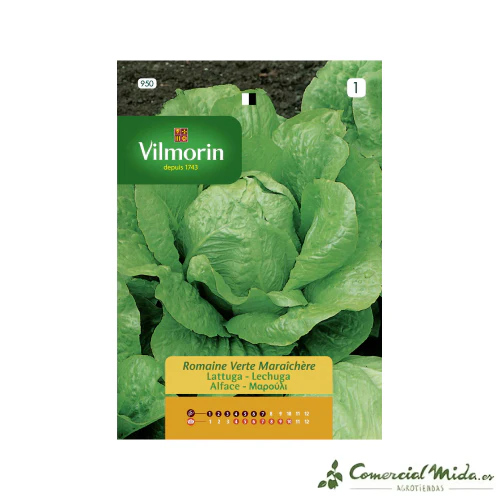 VILMORIN Semillas Lechuga Romana Verte Maraîchère