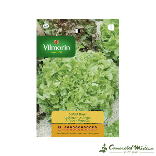 VILMORIN Semillas Lechuga Salad Bowl