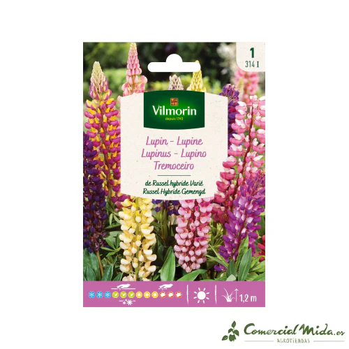VILMORIN Semillas Lupinus de Russel Híbrido Variado