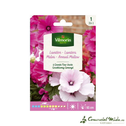 VILMORIN Semillas Malva Variada de Gran Flor