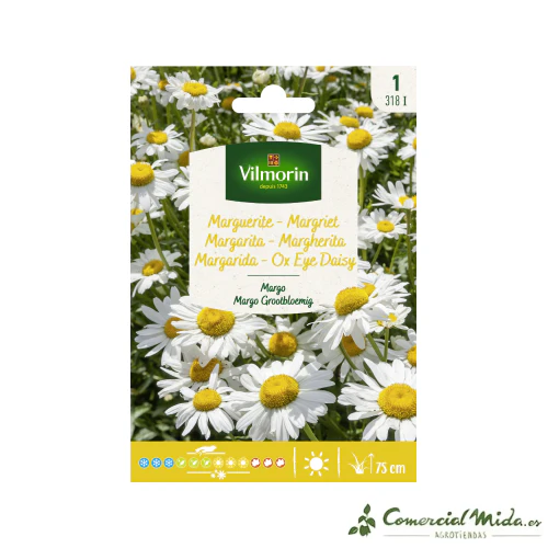 VILMORIN Semillas Margarita Margo