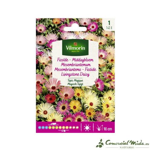 VILMORIN Semillas Mesembriantemum Variado