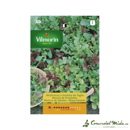 VILMORIN Semillas Mezcla de Ensaladas (Mesclun)