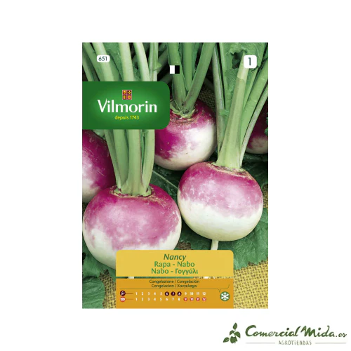 VILMORIN Semillas Nabo de Nancy