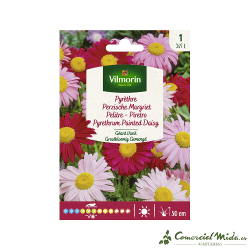VILMORIN Semillas Pelitre