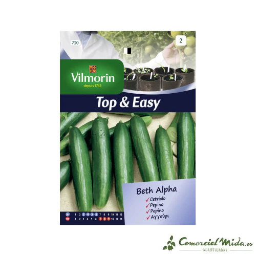 VILMORIN Semillas Pepino Beth Alpha