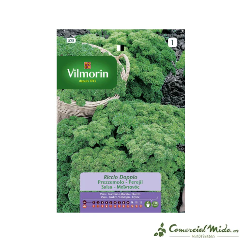VILMORIN Semillas Perejil Rizado Verde Oscuro