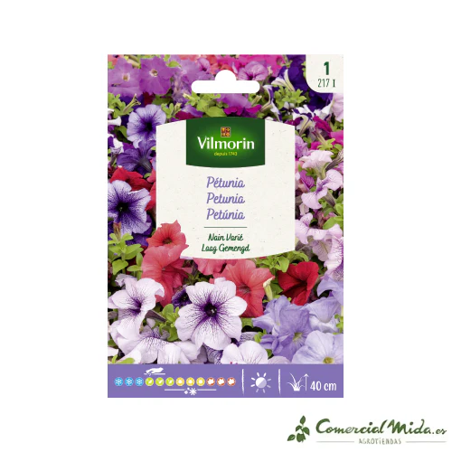 VILMORIN Semillas Petunia Enana Variada