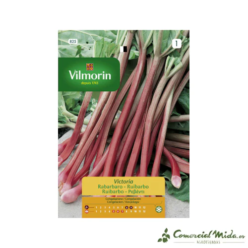 VILMORIN Semillas Ruibarbo Victoria