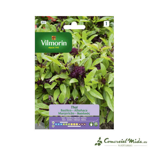 VILMORIN Semillas Albahaca Tailandesa
