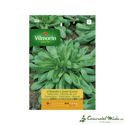 VILMORIN Semillas Valeriana - Hierba de los Canόnigos de Grano Gruesco